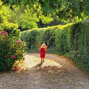 le petit chemin qui arrive au gîte