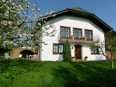 Schöne, komfortable Wohnung mit herrlicher Terrasse und Kamin 