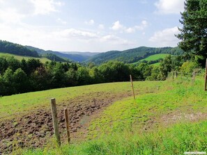 Oklassificerad bild, 2 av 22, knapp