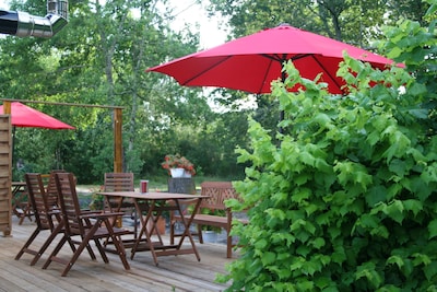 Appartement confortable et calme dans la pinède avec un immense jardin et des animaux.