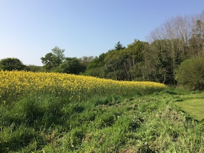 vue à l'arrière de la maison