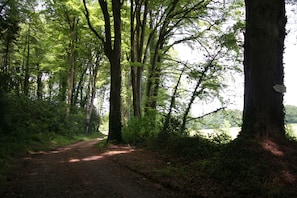 chemin d'accès à la maison dans le parc de Kerduel
