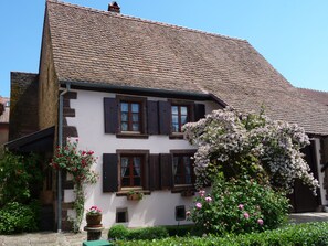 Exteriör