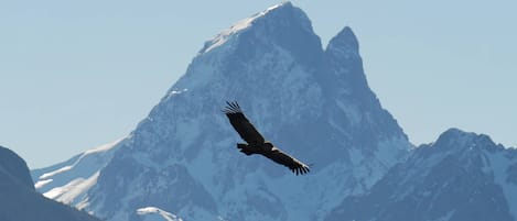 Desportos de neve e esqui