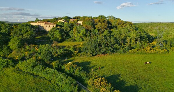 Aerial view