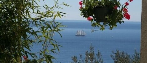 Vue de terrasse.