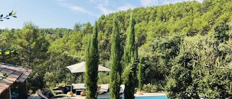 piscine privée dans domaine paysagé