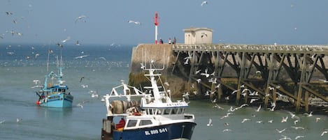 Vue du balcon de l'entrée du port 