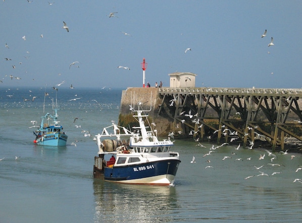 Puerto deportivo