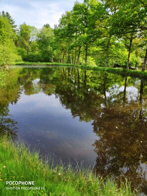Boendeområde