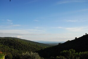 Oklassificerad bild, 3 av 38, knapp