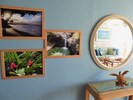 All 6 photos (3 on each side of the mirror) were taken by Mort and Sue in Maui.