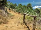 The trail down to Pololu Beach