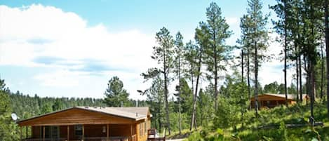 The Aspen with the Ponderosa in the background