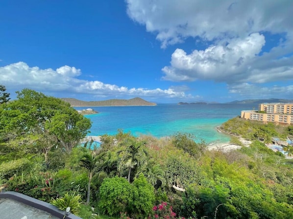 Vue sur la plage ou l’océan