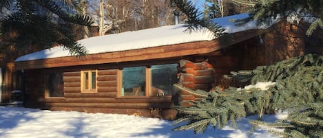 The cabin from the river in winter.