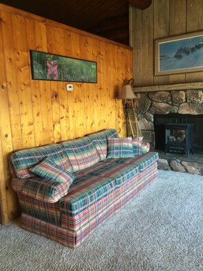 Living room. Someone could sleep on the couch. 
