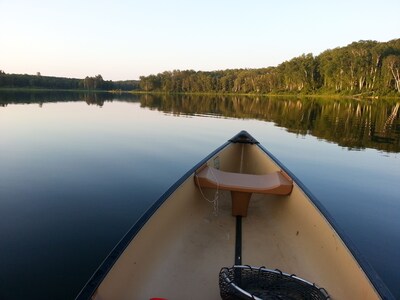 Dnr Lakes Near Me Quiet 3 Acres On Dnr Fishing Lake With 200' Of Shoreline Just Outside  Longville - Cass County