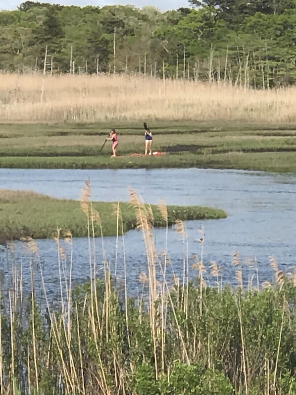 paddle board right in your backyard