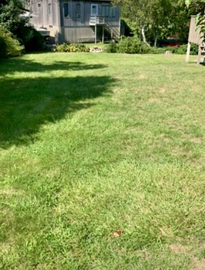 Left Side Yard