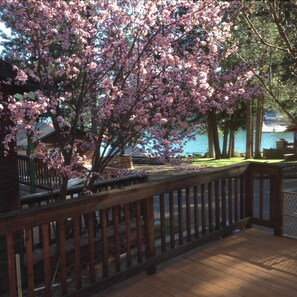 View from deck out side lower bedroom