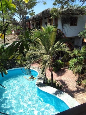 pool area and garden!