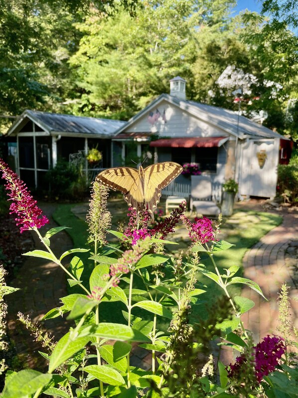 The Cottage is nestled amongst trees and nature