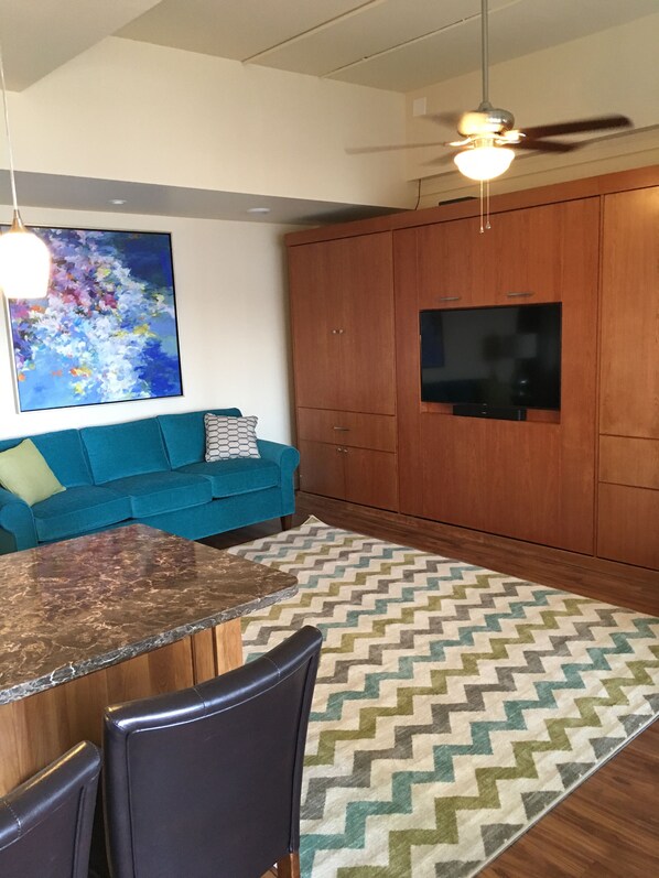 View from the front door.  The murphy bed is behind the TV.  