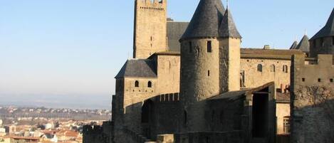 Enjoy the historic sites of Carcassonne, La Grasse and Narbonne nearby