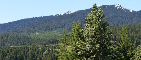 View from Condo and Deck