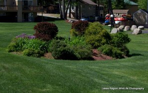 large lush front lawn for all to enjoy