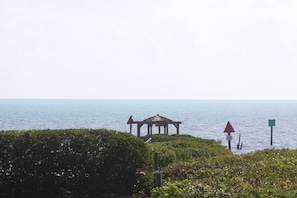 View from the Apartment Balcony