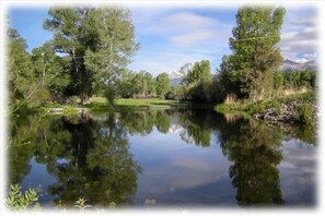  pond with zipline across the middle for the adventurous