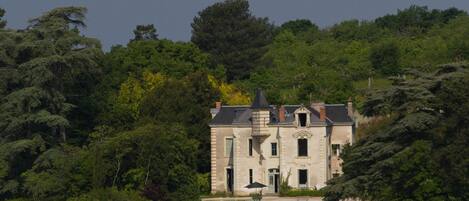 clos des capucins  in the heart of the Loire Valley, a working organic vineyard