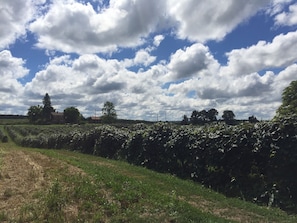 Parco della struttura