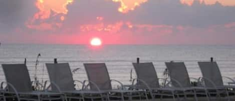 Sea Oaks at Sunrise