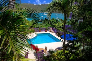 Pool with a view just steps from your door