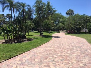 Casa de Floreal entrance driveway.  Over 400 yards away from the main road. 
