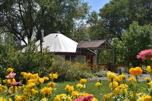 With the Foreground in Bloom, the  Yurt is in witness.