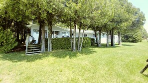 Backyard, looking from Lake Michigan.