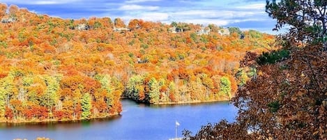 Perfectly perched above Lake Petit, the Nest boost the best views in Big Canoe.