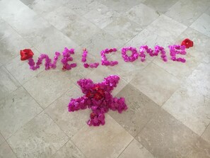 Welcome!