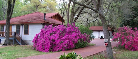 Terrenos do alojamento