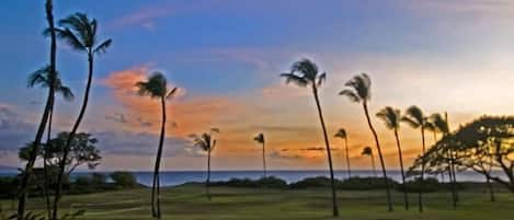 View from Living Room Lanai