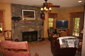 Lower lever fireplace/den