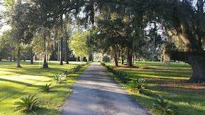 Jardines del alojamiento