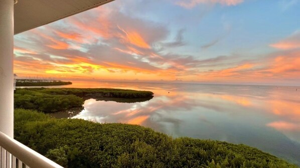 Balcony View - BREATHTAKING!
