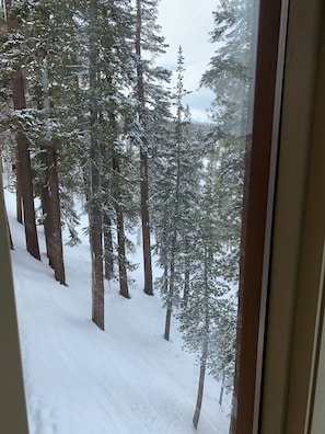Outside view of ski slope to Canyon Lodge from dining room.