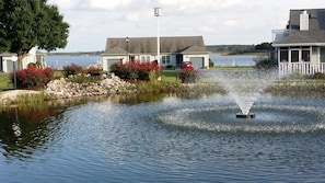 This is one of the ponds you'll walk past when you walk to the marina.
