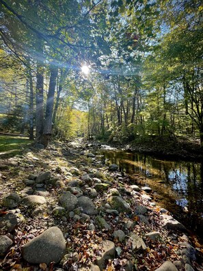 Glorious view of the Piney River from the deck